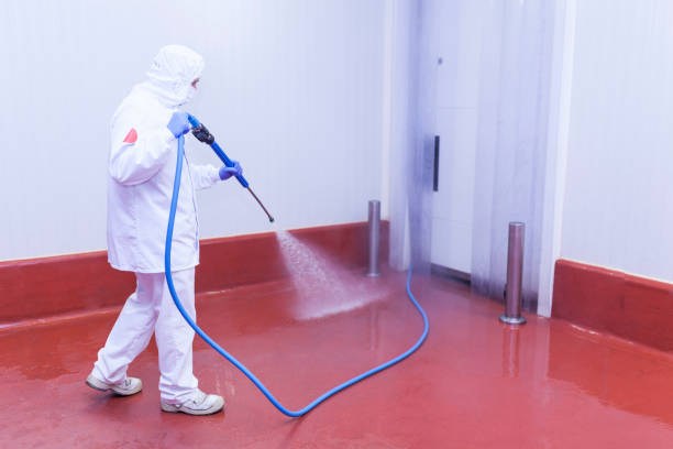 Best Boat and Dock Cleaning  in Ravena, NY